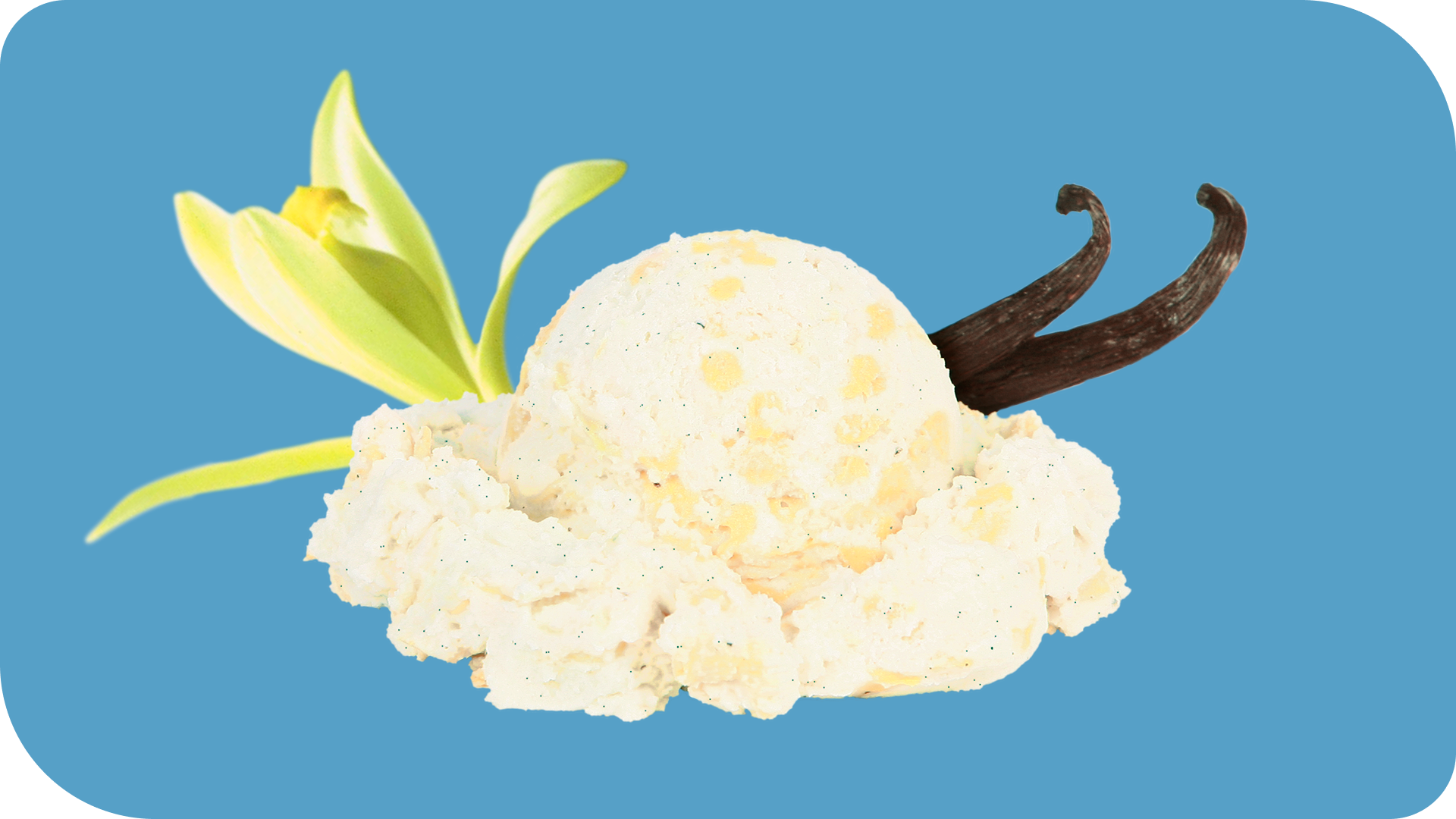 Vanilla Bean Dots 'n Cream with Flavor Garnish