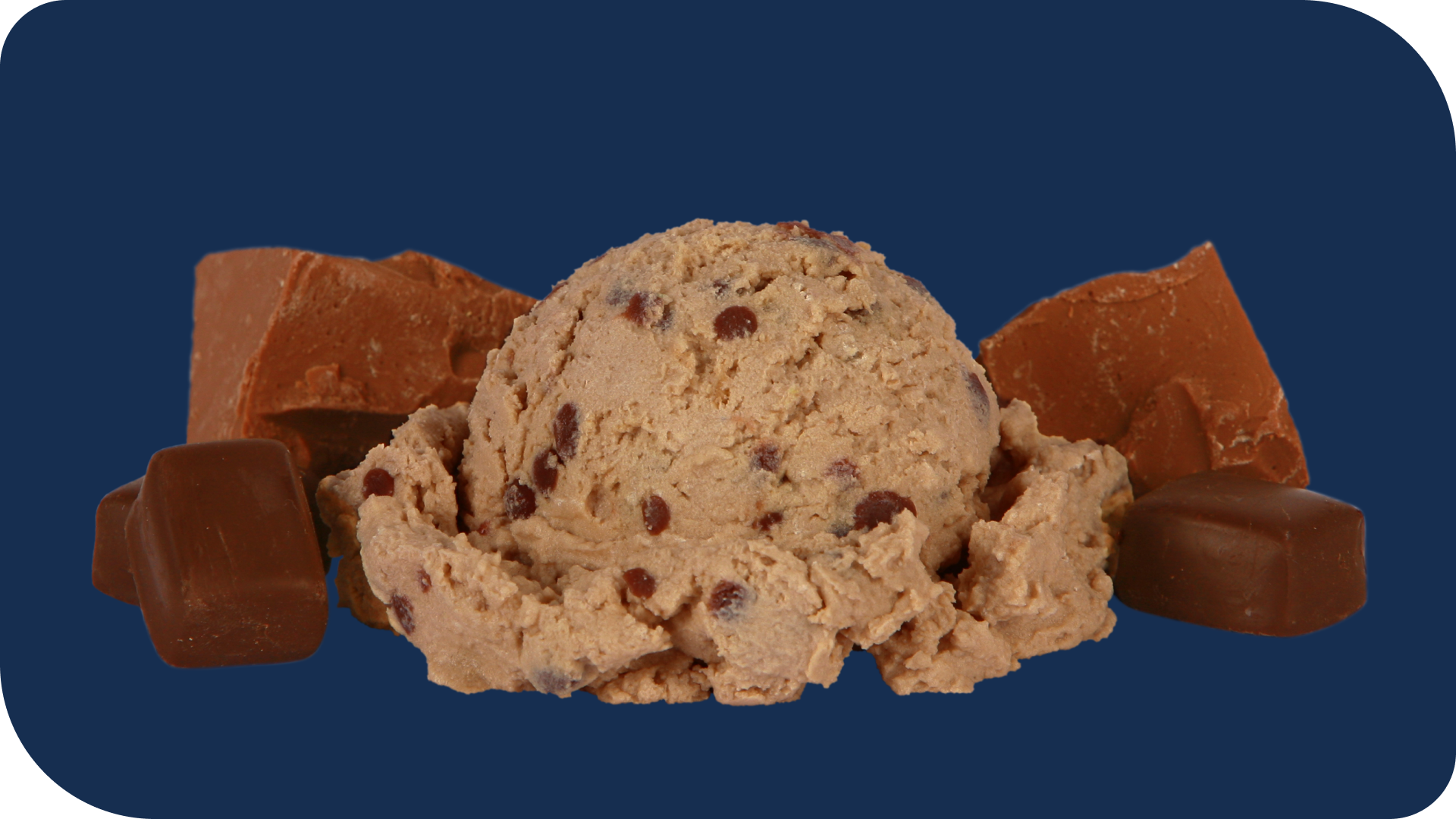 Wild About Chocolate Dots 'n Cream with Flavor Garnish